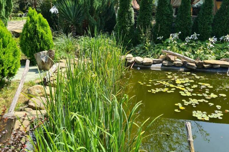 Изображение Изображение отеля / гостиницы "Гостевой дом «Тихий уголок»" #11 #9