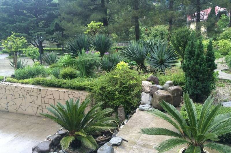 Изображение Изображение гостиницы &quot;Гостевой дом «Янтарь»&quot; #3 #3