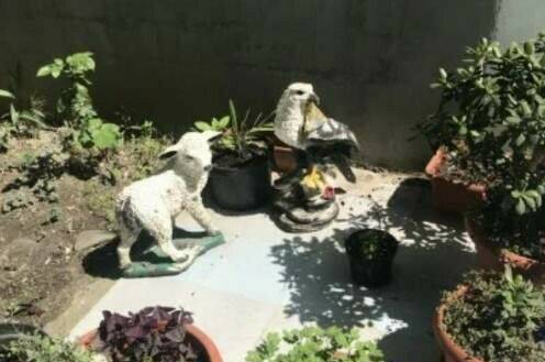 Изображение Изображение гостиницы "Гостевой дом «На Чкалова»" #3 #3