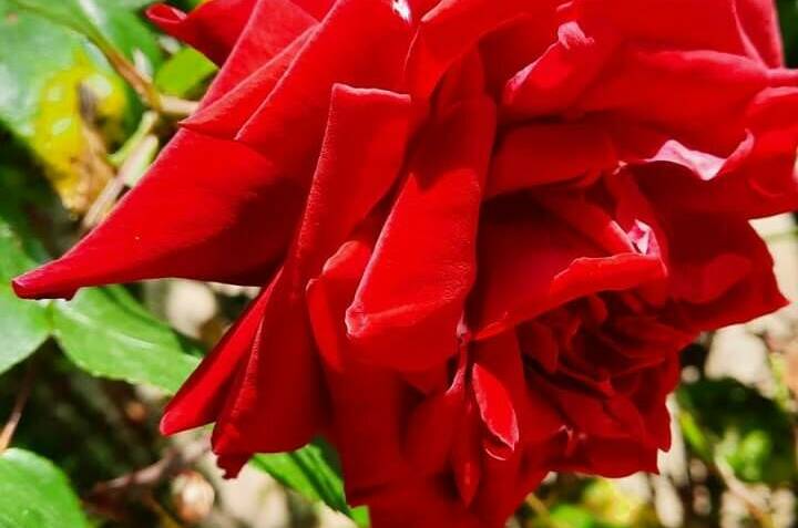 Изображение Изображение гостиницы &quot;Комнаты для отдыха «Алые паруса»&quot; #7 #7