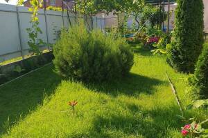 Изображение отеля / гостиницы "Гостевой дом «У Татьяны»"