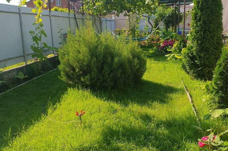 Изображение Изображение гостиницы "Гостевой дом «У Татьяны»" #1 #1