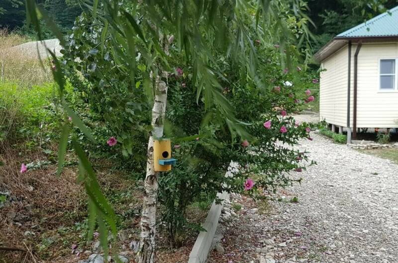 Изображение Изображение квартиры / апартамента "Домик под ключ «Ивушка»" #10 #8