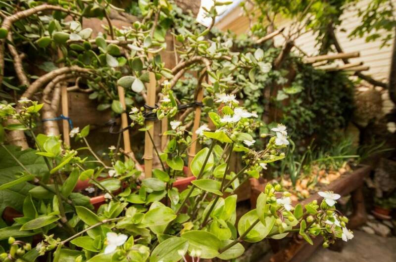 Изображение Изображение отеля / гостиницы "Бухта «Хоста»" #11 #9