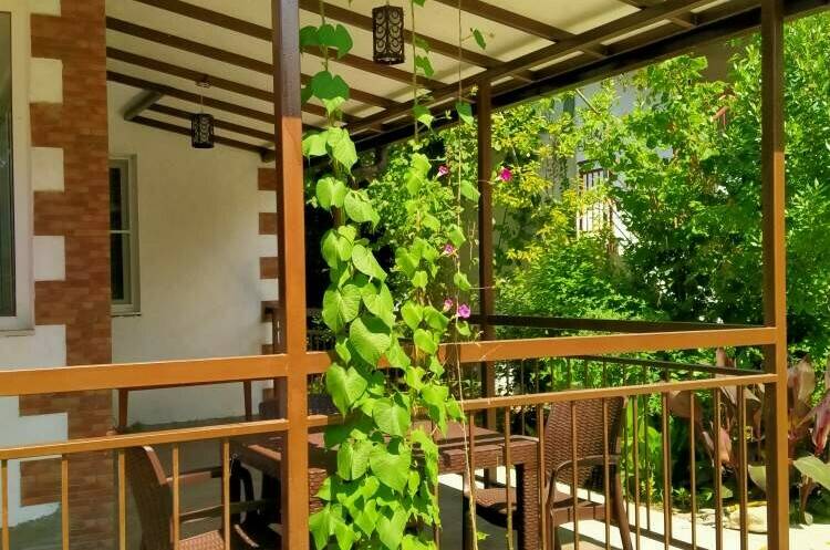 Изображение Изображение отеля / гостиницы "Гостевой дом «Соларис»" #10 #8