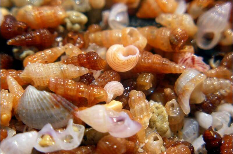 Изображение Изображение гостиницы &quot;Семейный дом «Виктория»&quot; #2 #2