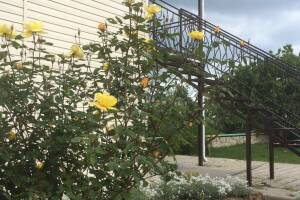 Изображение Гостевой дом «Афая» #2