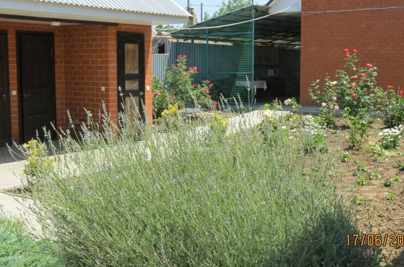 Изображение Изображение гостиницы &quot;Гостевой дом «Афая»&quot; #6 #6