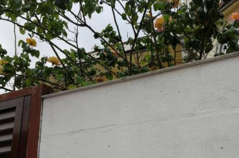 Изображение Изображение гостиницы "Гостевой дом «Чайная роза»" #2 #2