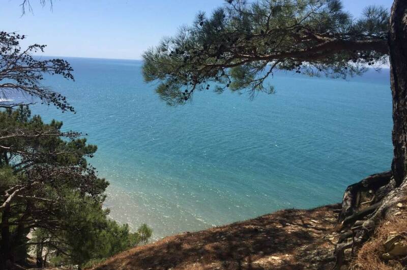 Изображение Изображение гостиницы &quot;Гостевой дом «Зевс»&quot; #3 #3