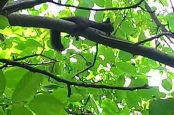 Изображение Изображение гостиницы &quot;Гостевой дом «Зевс»&quot; #6 #6