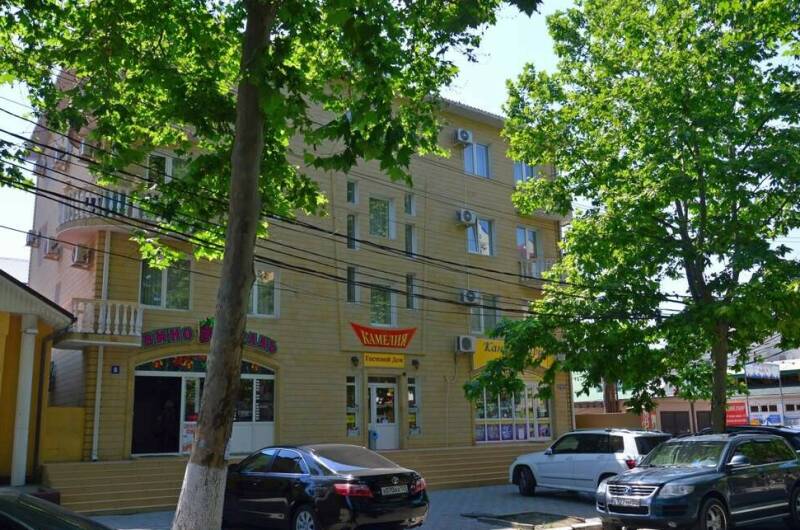 Изображение Изображение гостиницы &quot;Гостевой дом «Камелия»&quot; #1 #1