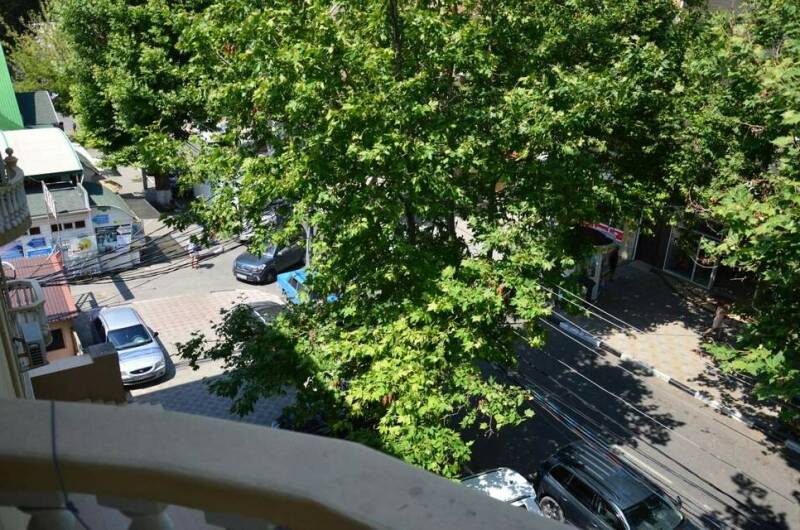 Изображение Изображение гостиницы &quot;Гостевой дом «Камелия»&quot; #3 #3