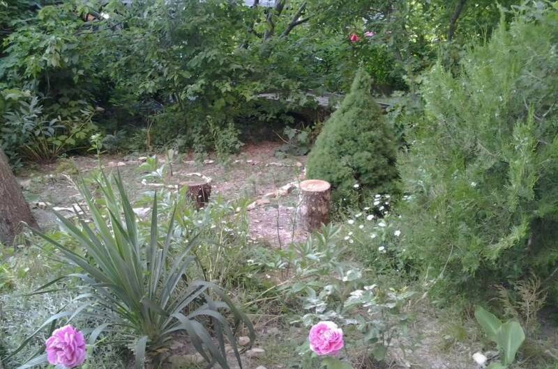 Изображение Изображение гостиницы "Гостевой дом «Шамбала»" #8 #8