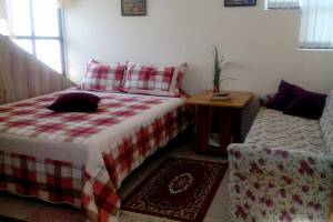 Изображение Гостевой домик (без соседей и хозяев) #2