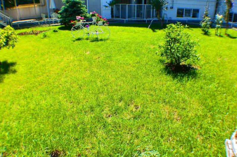 Изображение Изображение гостиницы "Гостевой дом «Даниела»" #2 #2