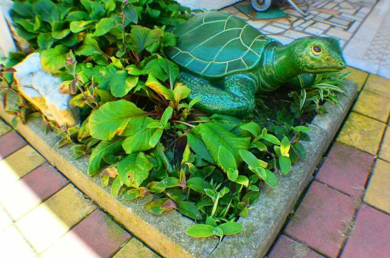 Изображение Изображение гостиницы "Гостевой дом «Даниела»" #7 #7