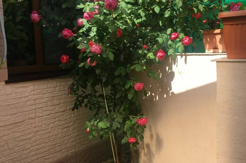 Изображение Изображение квартиры &quot;Квартира в частном секторе&quot; #1 #1