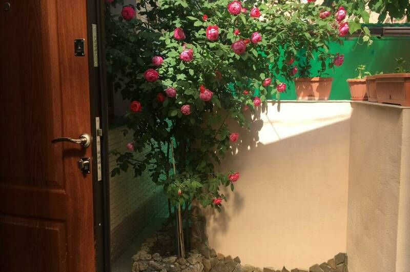 Изображение Изображение квартиры &quot;Квартира в частном секторе&quot; #6 #6