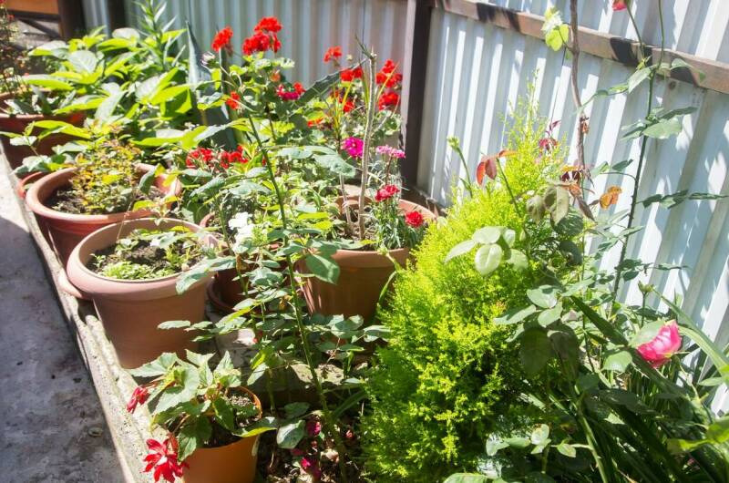 Изображение Изображение гостиницы "Гостевой дом «Валерий»" #4 #4