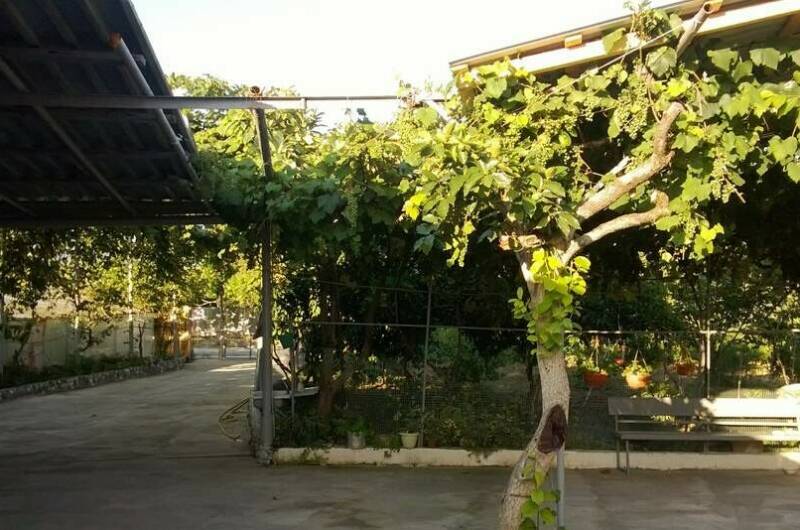 Изображение Изображение гостиницы &quot;Гостевой дом «У Норика и Сусанны»&quot; #6 #6