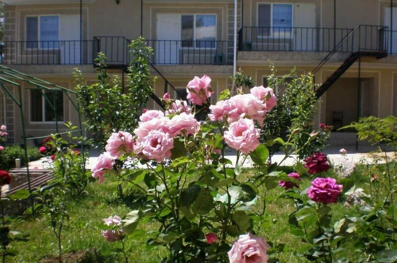 Изображение Изображение гостиницы &quot;Гостевой дом «Елена»&quot; #8 #8