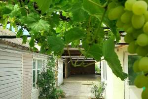 Изображение Гостевой дом «Азовские вечера» #4