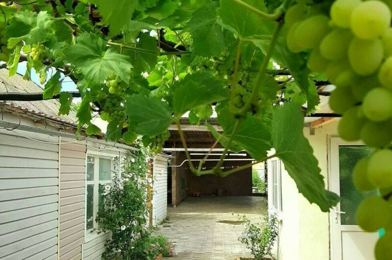 Изображение Изображение гостиницы "Гостевой дом «Азовские вечера»" #1 #1