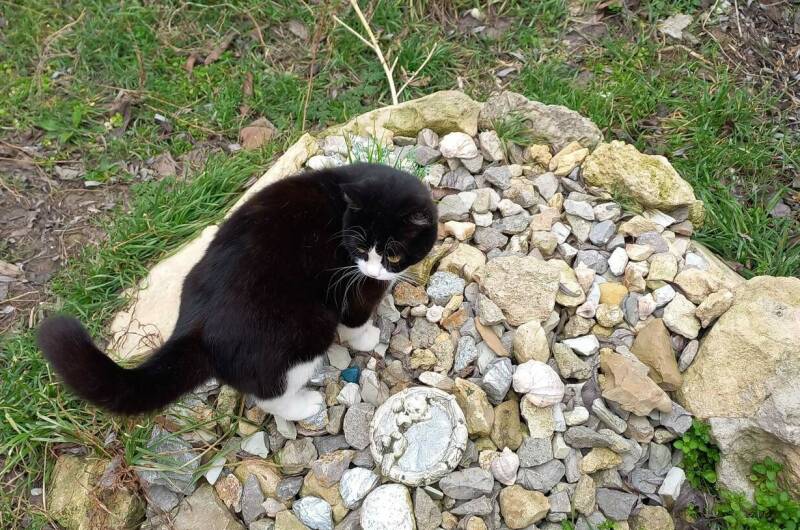 Изображение Изображение гостиницы &quot;Гостевой дом «Твоя атмосфера»&quot; #7 #7