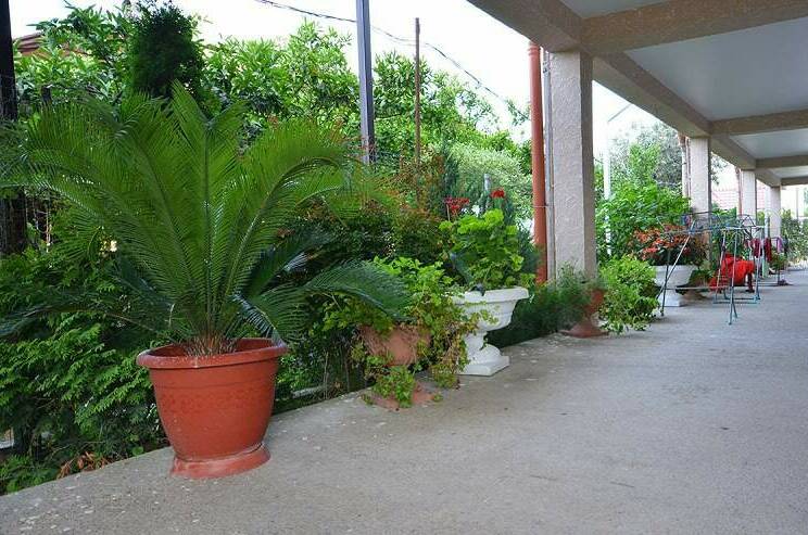 Изображение Изображение отеля / гостиницы "Гостевой дом «Домик у Камо»" #10 #8