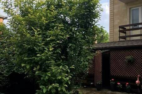 Изображение Изображение отеля / гостиницы "Гостевой дом «Нана»" #11 #9