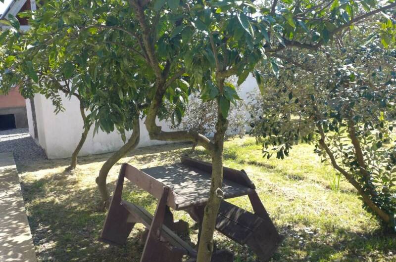 Изображение Изображение гостиницы &quot;Гостевой дом «Отдых у Марины»&quot; #6 #6