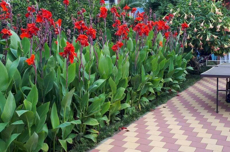 Изображение Изображение отеля / гостиницы "Гостевой дом «Отдых у Марины»" #11 #9