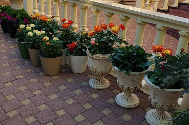 Изображение Изображение гостиницы &quot;Гостевой дом «Белая акация»&quot; #2 #2