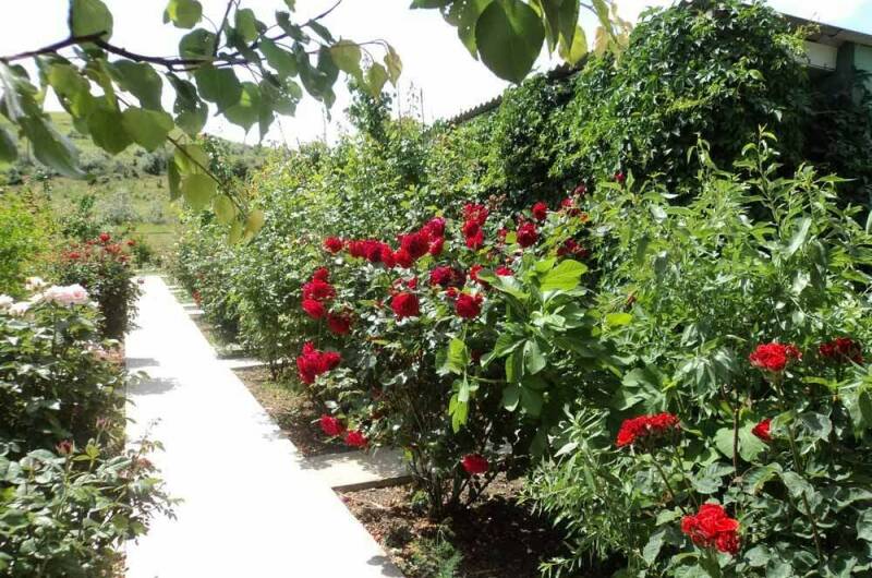 Изображение Изображение гостиницы &quot;Гостевой дом «Уют»&quot; #1 #1