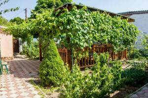 Изображение Феодосии #2