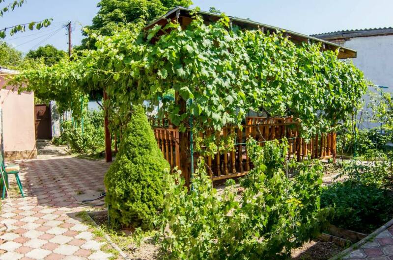 Изображение Изображение гостиницы &quot;Гостевой дом в центре Феодосии&quot; #1 #1