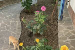 Изображение Тамани #4