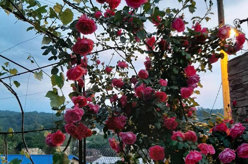 Изображение Изображение отеля / гостиницы "Гостевой дом «Ангелина»" #11 #9