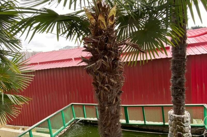 Изображение Изображение отеля / гостиницы "Гостевой дом «Пионер»" #10 #8