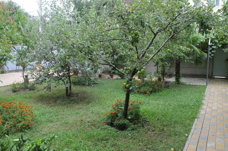 Изображение Изображение гостиницы &quot;Гостевой дом «Лужайка»&quot; #4 #4