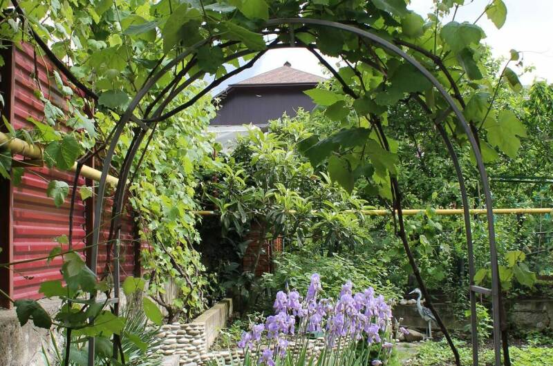 Изображение Изображение отеля / гостиницы "Гостевой дом «Лужайка»" #10 #8