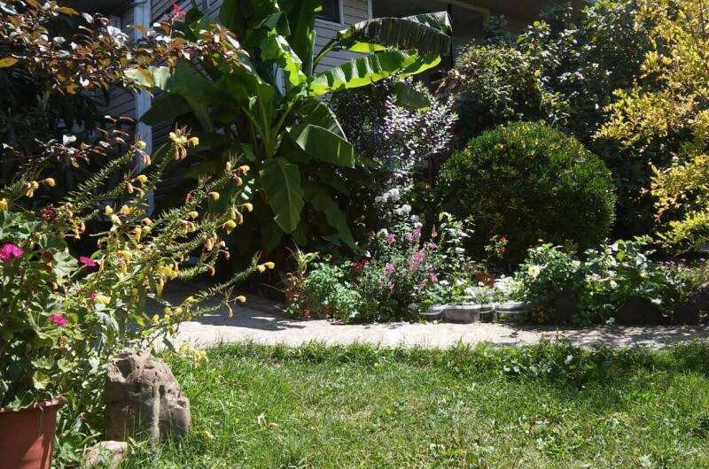 Изображение Изображение гостиницы "Гостевой дом на улице Сочинская" #2 #2