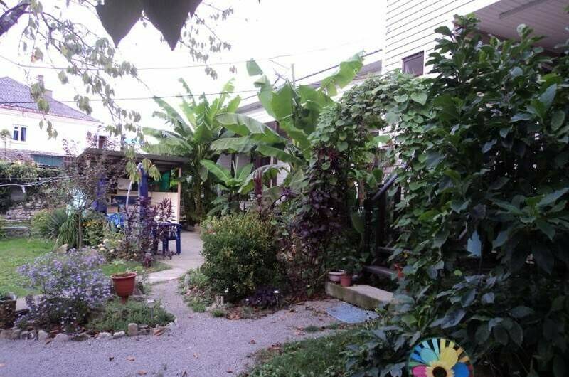 Изображение Изображение гостиницы "Гостевой дом на улице Сочинская" #5 #5