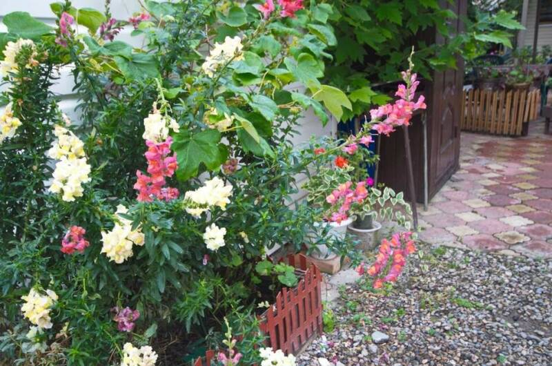 Изображение Изображение гостиницы "Гостевой дом «Лиственница»" #8 #8