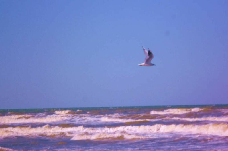 Изображение Изображение гостиницы &quot;Гостевой дом «Ирена»&quot; #2 #2