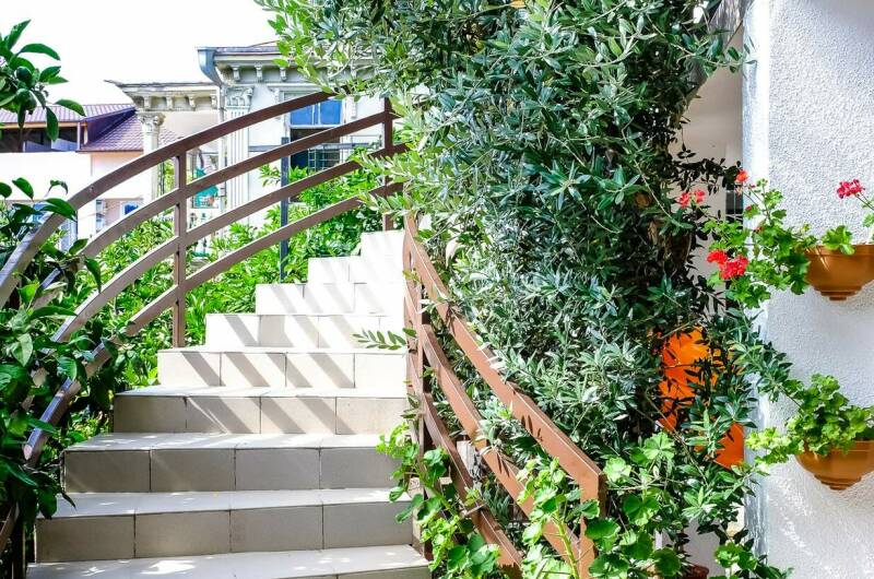 Изображение Изображение гостиницы &quot;Гостевой дом «Астра»&quot; #4 #4