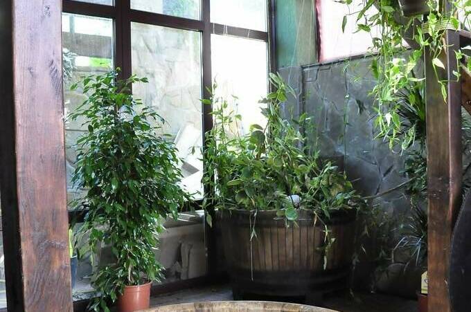 Изображение Изображение гостиницы &quot;Хостел &quot;Миньоны&quot;&quot; #5 #5