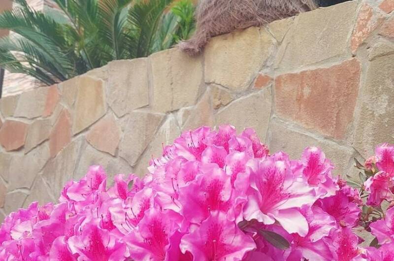 Изображение Изображение гостиницы "Гостевой дом «Аэлита»" #6 #6