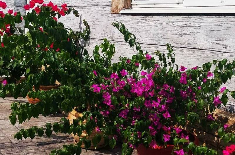 Изображение Изображение гостиницы "Гостевой дом «Аэлита»" #8 #8